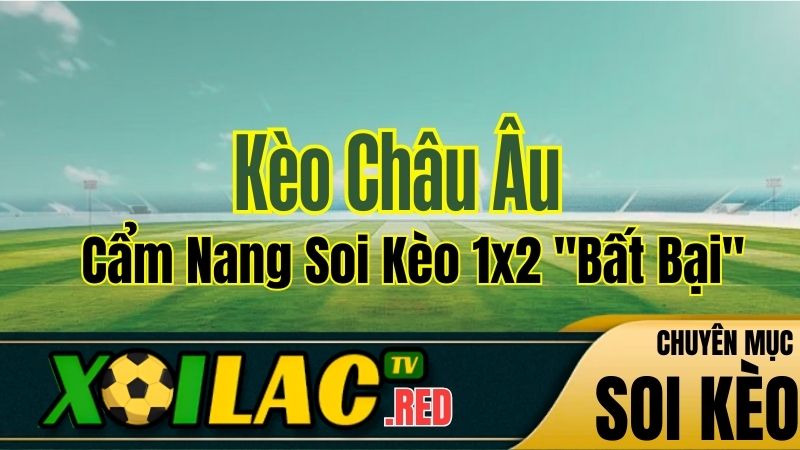 Kèo Châu Âu Là Gì? Cẩm Nang Soi Kèo 1x2 "Bất Bại" Từ Chuyên Gia Xoilac TV